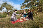 Foto: Picknik im Streuobstparadies