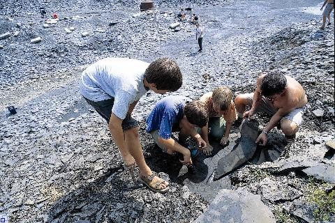 Holzmaden Kinder Fossilien